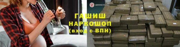 сатива Аркадак