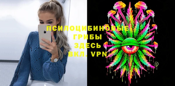 сатива Аркадак