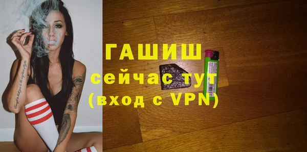 сатива Аркадак